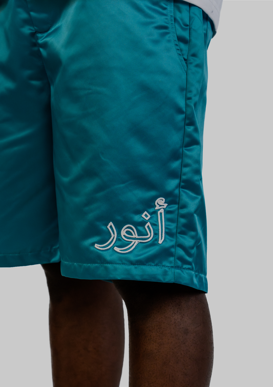 Nylon Short